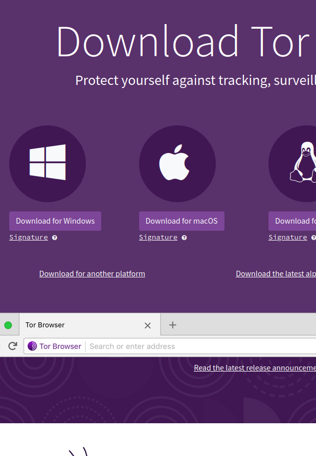 Step 1: Download and launch the official Tor Browser to access DrugHub Market